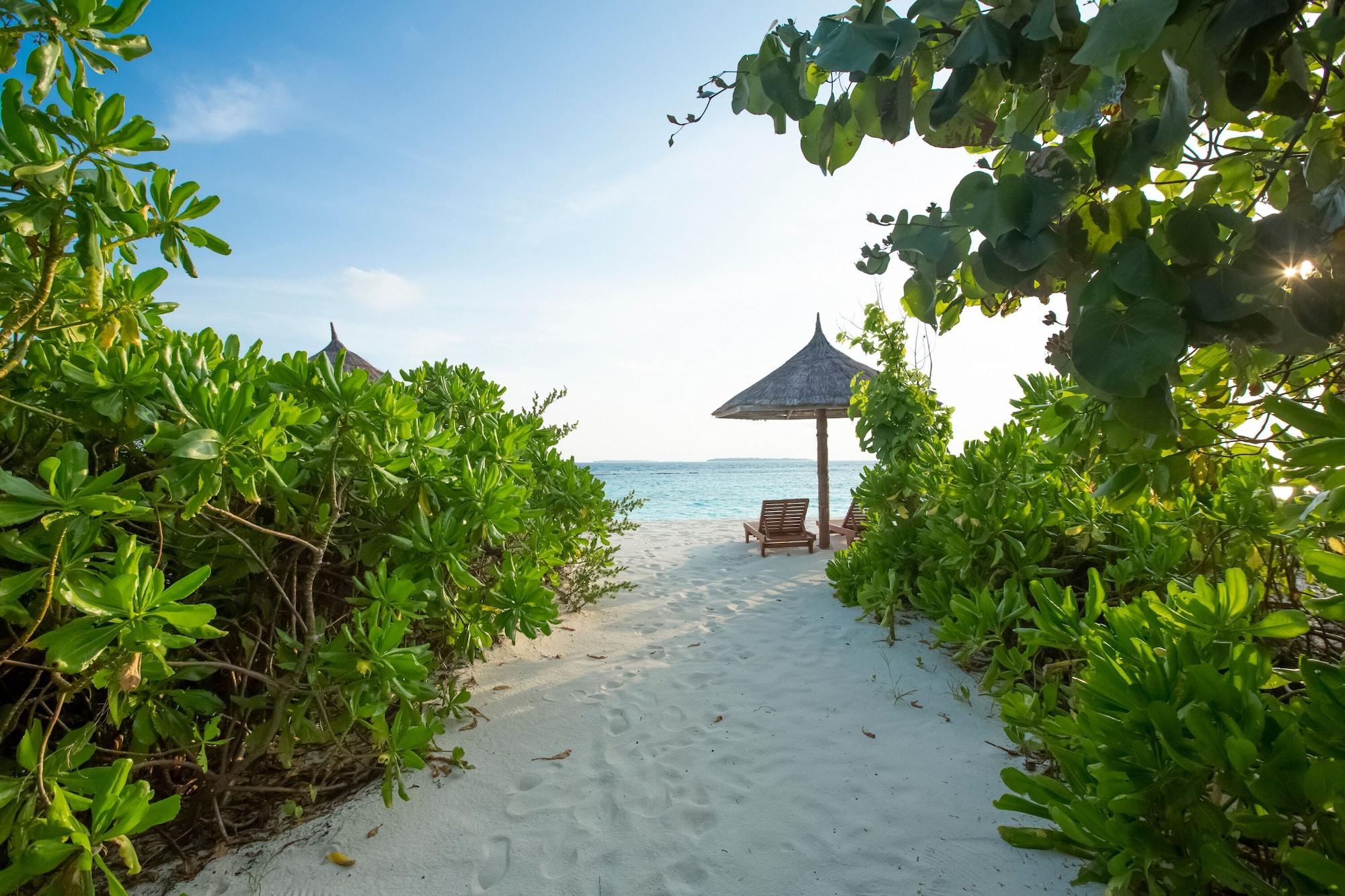 Reethi Faru, Bio Luxury Resort Meedhoo  Exterior foto